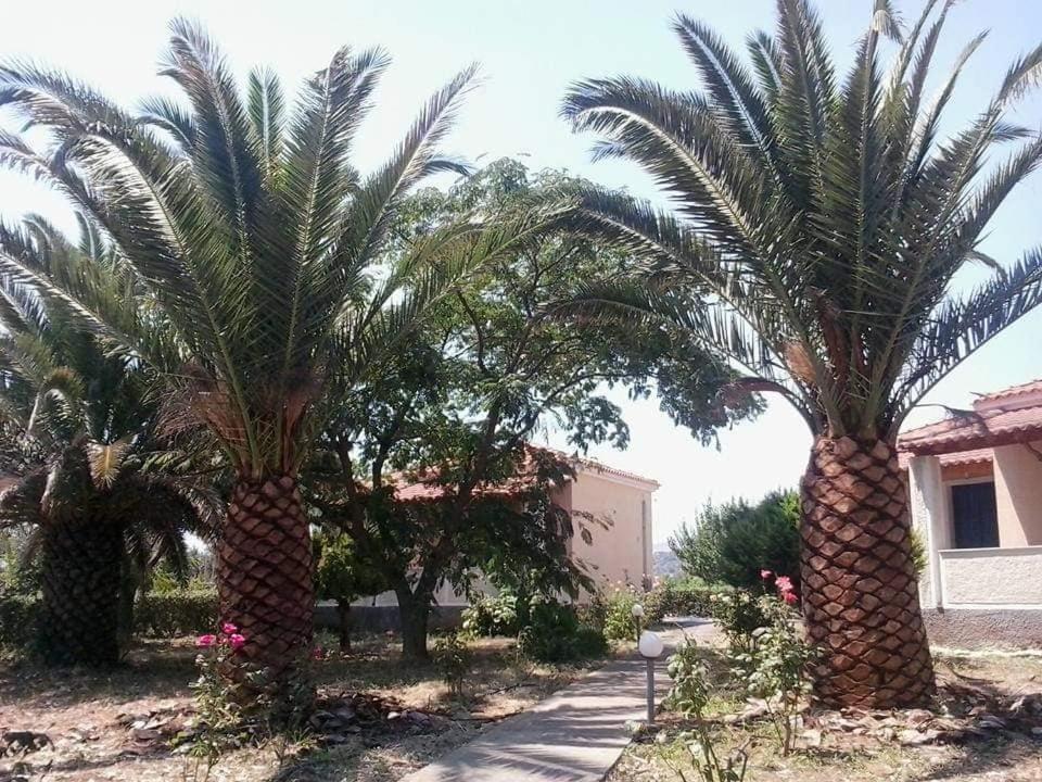 Oasis Studios Skala Kallonis Exterior foto