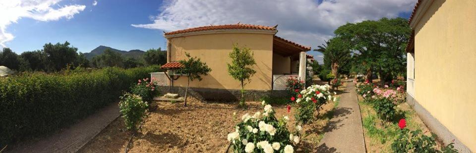 Oasis Studios Skala Kallonis Exterior foto