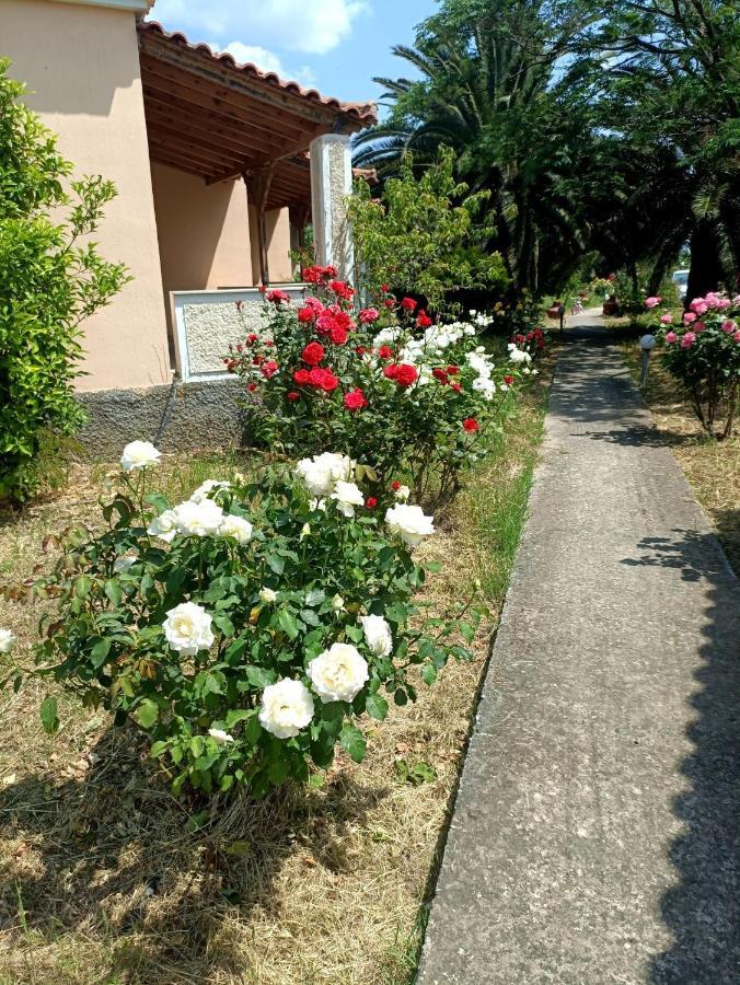 Oasis Studios Skala Kallonis Exterior foto