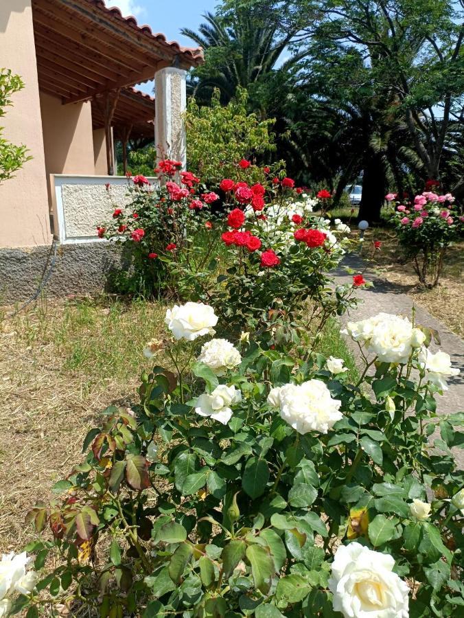 Oasis Studios Skala Kallonis Exterior foto